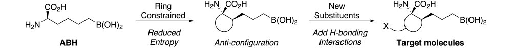 Arginase Scheme 1
