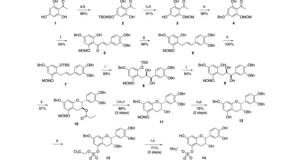 Cocoa Flavanol Scheme 2
