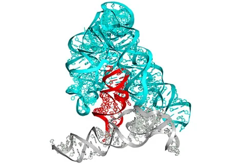 Intronistat B Illustration 1