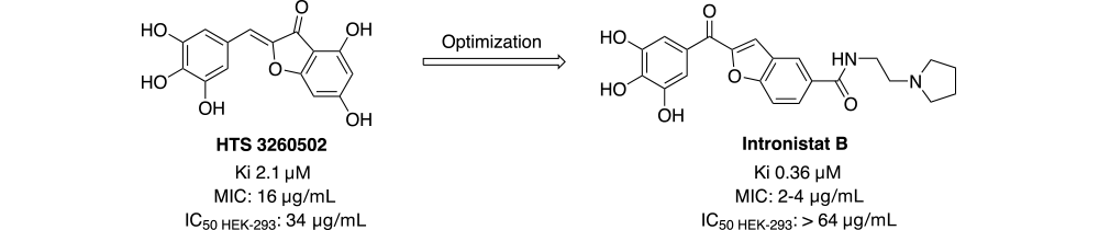 Intronistat B Scheme 1