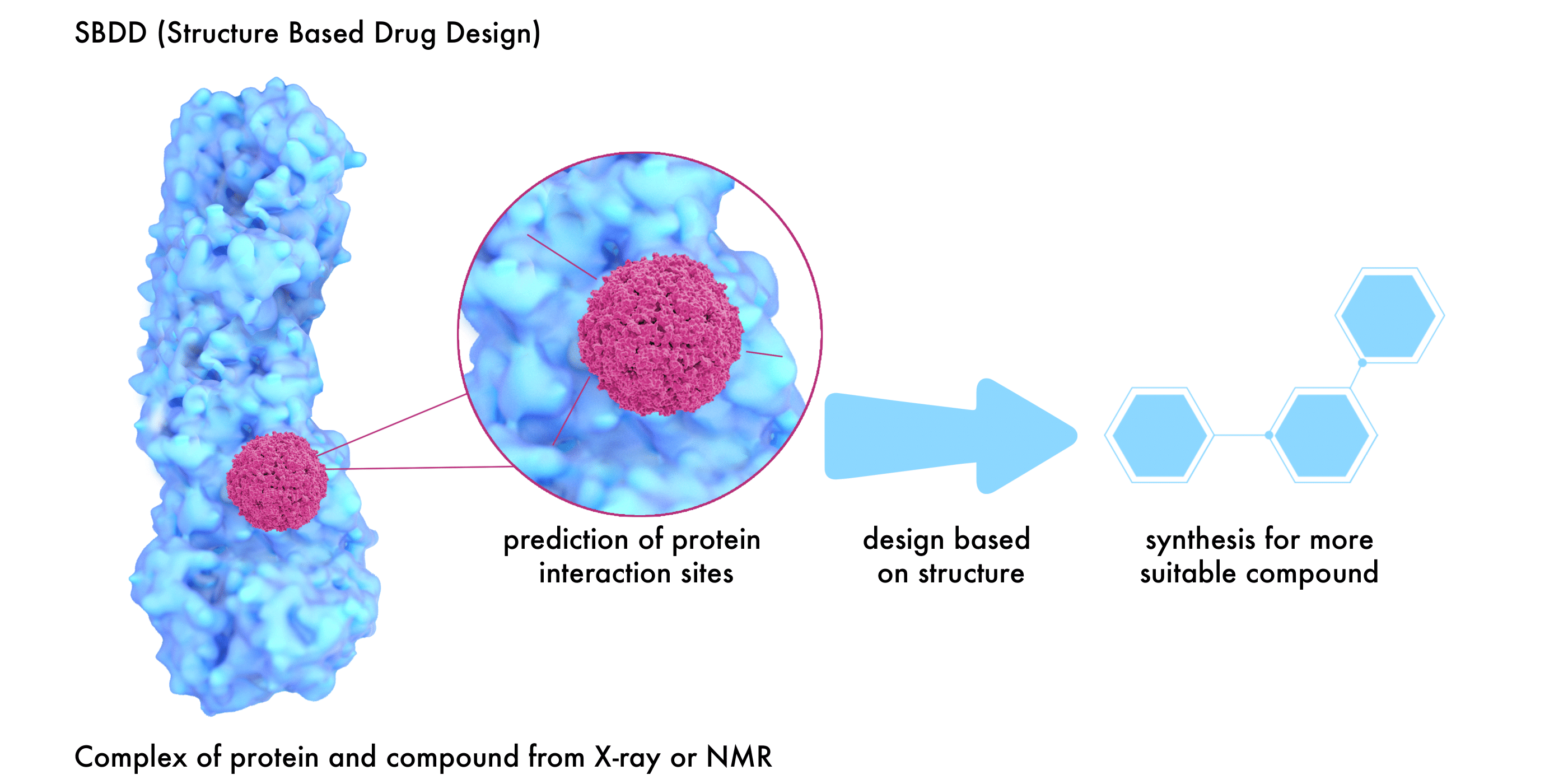 o   SBDD (Structure Based Drug Design) o   A complex of protein and compound from X-ray or NMR o   Prediction of protein interaction site o   Design based on structure o   A synthesis for more suitable compound